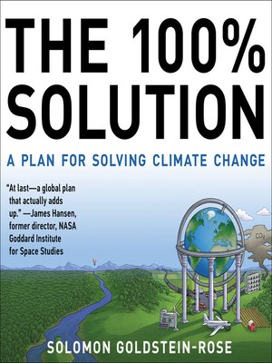 cover image of The 100% Solution